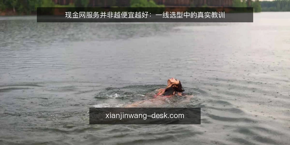 现金网服务并非越便宜越好:一线选型中的真实教训 — 信号一:低价背后的隐性成本 配图