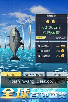 现金网掌上体验