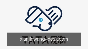 现金网